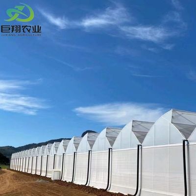 3m-8m ύψος ορόφους πολυδιάστατο θερμοκήπιο γυαλιού Venlo με υδροπονικό σύστημα καλλιέργειας