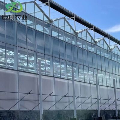 3m-8m ύψος ορόφους πολυδιάστατο θερμοκήπιο γυαλιού Venlo με υδροπονικό σύστημα καλλιέργειας