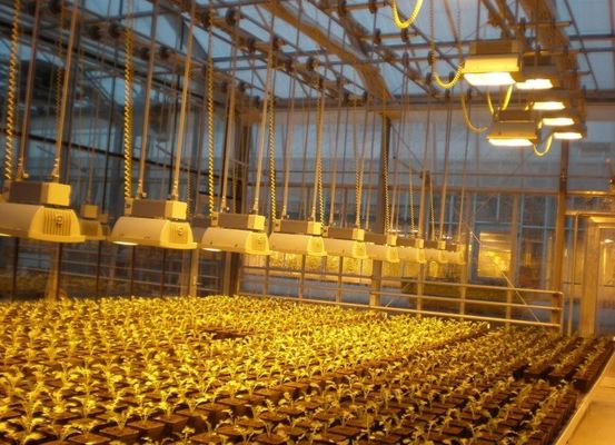 Επιστροφή 30 ημερών Φωτισμένο σπίτι καλλιέργειας για φυτά Φωτισμένη μέθοδος καλλιέργειας
