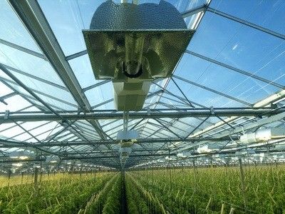 Επιστροφή 30 ημερών Φωτισμένο σπίτι καλλιέργειας για φυτά Φωτισμένη μέθοδος καλλιέργειας