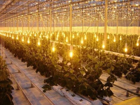 Εγκατάσταση σποράς πλαστικής ταινίας Juxiang Χάλυβα για ευκολότερη επιστροφή Επιστροφές