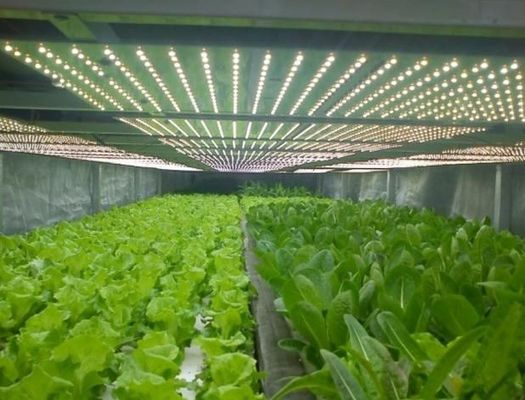 2000.000kg Ελεγχόμενο περιβάλλον με ψεκαστήρα νερού Δωμάτιο σποράς/καλλιεργειών/φρούτων/φυτών