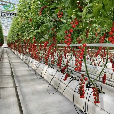 Προσαρμοσμένο πάχος ταινίας Γεωργική Χρησιμοποιούμενη πλαστική ταινία Υδροπονική θερμοκήπια