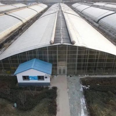 Υδατοκαλλιέργεια Διπλό τόξο ηλιακό θερμοκήπιο με δονητή χιονιού σε περιοχές με βαρύ χιόνι