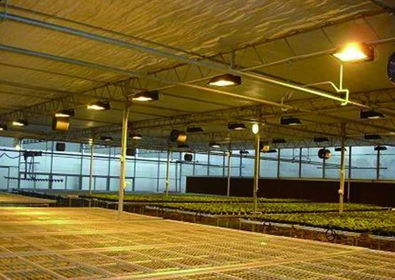 Προσαρμοσμένο αίτημα Juxiang Τομάτα Αγγούρι Lettuce Δομή φωτισμού θερμοκήπιο