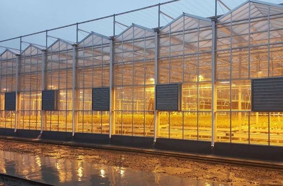 Προσαρμοσμένο αίτημα Juxiang Τομάτα Αγγούρι Lettuce Δομή φωτισμού θερμοκήπιο