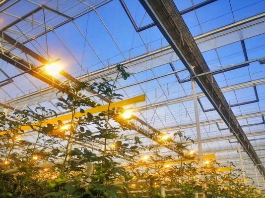 Προσαρμοσμένο αίτημα Juxiang Τομάτα Αγγούρι Lettuce Δομή φωτισμού θερμοκήπιο