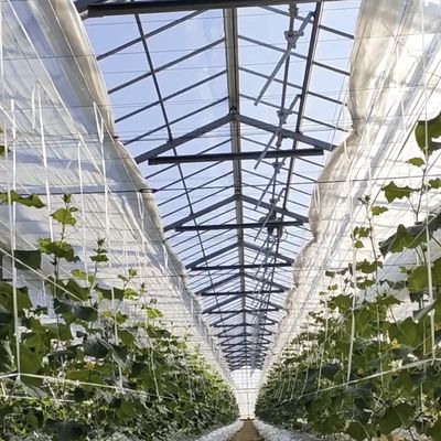 Προσαρμογή και προσιτότητα του εμπορικού υδροπονικού συστήματος θερμοκηπίου σε εύλογη τιμή