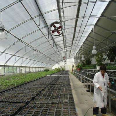 Συνεχή θέρμανση και μέθοδος καλλιέργειας με σήραγγα Γεωργικό θερμοκήπιο πλαστικής ταινίας
