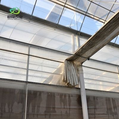 Γεωργικό θερμοκήπιο πλαστικής ταινίας σήραγγας με ύψος τριών έως οκτώ μέτρων