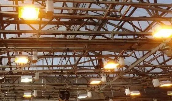 Φωτιστικό θερμοκήπιο με υγρή κουρτίνα για 2000.000kg πακέτου