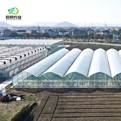 Προσαρμοσμένο αίτημα Γεωργικό πολυδιάστατο θερμοκήπιο πλαστικής ταινίας σήραγγας για παραγωγή