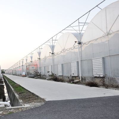 Προσαρμοσμένο αίτημα Γεωργικό πολυδιάστατο θερμοκήπιο πλαστικής ταινίας σήραγγας για παραγωγή