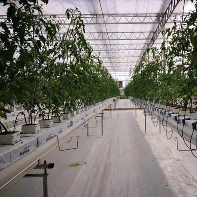 Προσαρμογή υδροπονικού συστήματος θερμοκηπίου υψηλής απόδοσης για εμπορική βιωσιμότητα