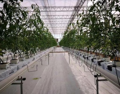 Φίλμα θερμοκήπιο υδροπονικό σύστημα Πακέτο Ακαθάριστο βάρος 2000.000kg Προσαρμοσμένο αίτημα