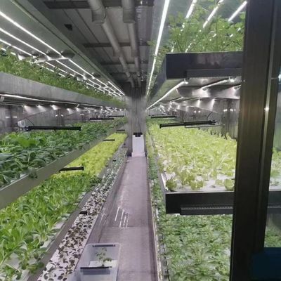 Φίλμα θερμοκήπιο υδροπονικό σύστημα Πακέτο Ακαθάριστο βάρος 2000.000kg Προσαρμοσμένο αίτημα
