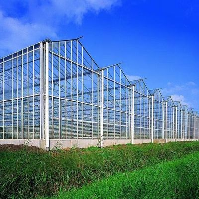 100.000kg Συσκευή Ακαθάριστο βάρος Σύστημα υδροπονικής θερμοκηπίου γυαλιού με στάγμα άρδευσης