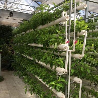 Καινοτόμο υδροπονικό σύστημα για καλλιέργεια θερμοκηπίου με φιλμ