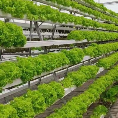 Καινοτόμο υδροπονικό σύστημα για καλλιέργεια θερμοκηπίου με φιλμ