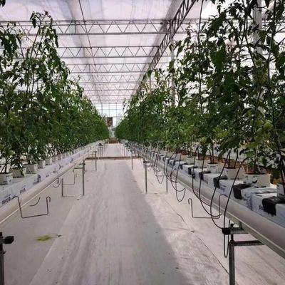 Υδροπονική εγκατάσταση γυάλινου θερμοκηπίου για όλο το χρόνο καλλιέργεια Φθηνό κόστος αποστολής