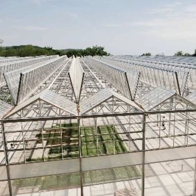 Σύστημα υδροπονικής θερμοκηπίου από γυαλί με εύλογη τιμή για τις ανάγκες της γεωργίας μεγάλης κλίμακας
