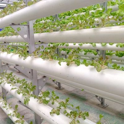 9.6m Φιλμικό θερμοκήπιο για τη μέγιστη απόδοση στην καλλιέργεια χωρίς χώμα και την αρχική πληρωμή