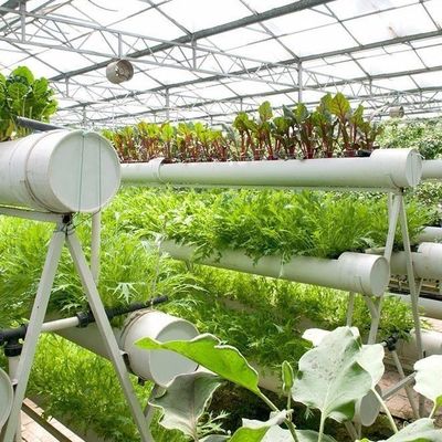9.6m Φιλμικό θερμοκήπιο για τη μέγιστη απόδοση στην καλλιέργεια χωρίς χώμα και την αρχική πληρωμή