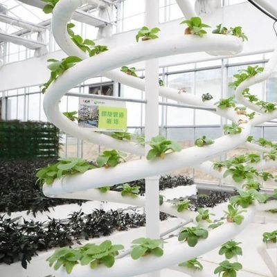 9.6m Φιλμικό θερμοκήπιο για τη μέγιστη απόδοση στην καλλιέργεια χωρίς χώμα και την αρχική πληρωμή