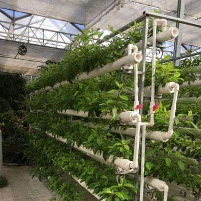 Προσωρινές λύσεις θέρμανσης για το υαλοκήπιο