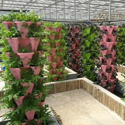 Μεγάλης κλίμακας γεωργικό θερμοκηπίο υδροπονικό σύστημα με προσωρινή μέθοδο θέρμανσης
