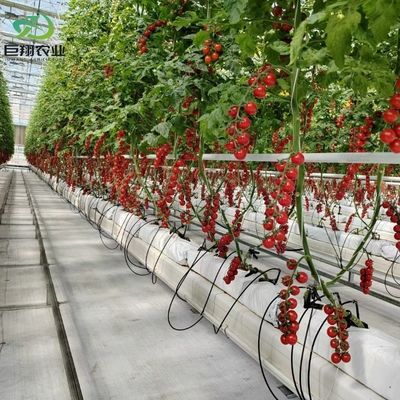 Ζεστό-DIP Ζυγισμένο Χάλυβα Σώλο Διαρθρωτικό Υλικό θερμοκήπιο με 1 κομμάτι Min.order