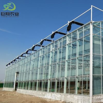 Χειροκηπίο JX-Glass Προσαρμοσμένη λύση για την πώληση ντομάτας και φύλλων στην καυτή αγορά