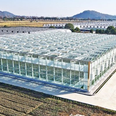 Γυάλινο θερμοκήπιο για φυτά ντομάτες και φύλλα JX-Glass Span 8m 9.6m 12m Προσαρμοσμένο
