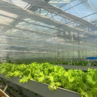 Εγκατάσταση θερμοκηπίου υδροπονικών μεμβράνων τετραγωνικού μέτρου για τη διαχρονική καλλιέργεια καλλιεργειών