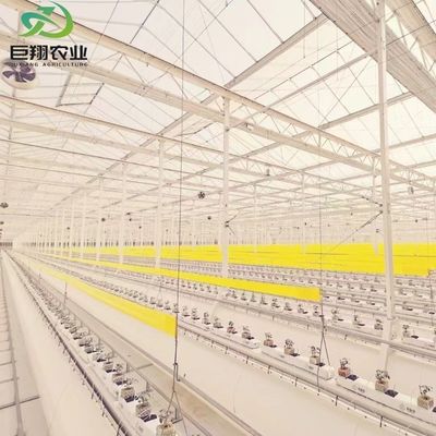8m 9,6m 12m προσαρμοσμένο θερμοκήπιο πολυανθρακούχου για άρδευση κήπου και λίπανση