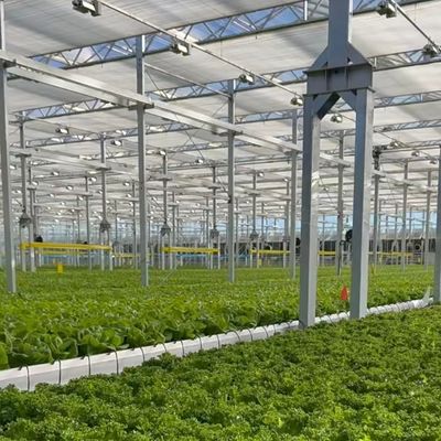 Γεωργείο με γυάλινο κάλυμμα υψηλής φορτίας ανέμου με νόμισμα των ΗΠΑ και εκτιμώμενο χρόνο παράδοσης