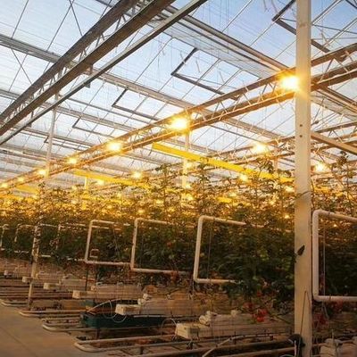 θερμοκήπιο για καλλιέργεια σπόρων με φωτισμό από υγρή κουρτίνα και προσαρμόσιμες επιλογές