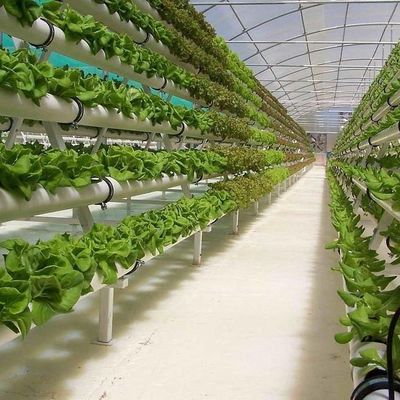 θερμοκήπιο για καλλιέργεια σπόρων με φωτισμό από υγρή κουρτίνα και προσαρμόσιμες επιλογές