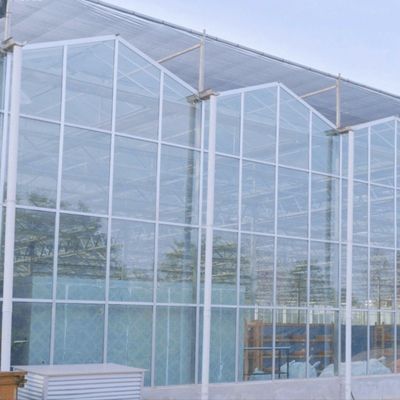 Υδροπονική μέθοδος καλλιέργειας Γεωργία Γυάλινο θερμοκήπιο για ντομάτες/φρούτα