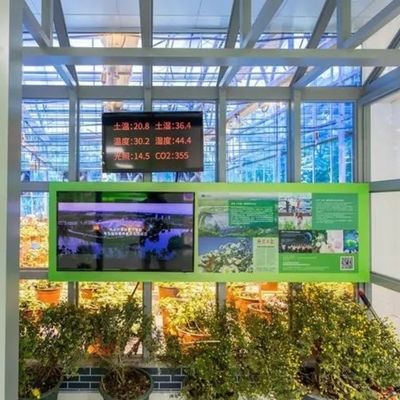 Προσαρμοσμένο θερμοκήπιο για τη γεωργία Εμπορικό γυαλί/Θεμονωτικό γυαλί/Φλωτό γυαλί