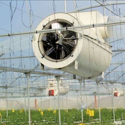 Διπλό στρώμα ψεκαστήρα νερού ελεγχόμενο φωτιστικό θερμοκήπιο για φυτικές λύσεις