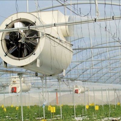 jx-gg-002 Φωτιστική υδροπονική υγρασία Φόρμα σποράς θερμοκήπιο και επιστροφή επιστροφές
