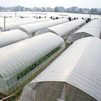Υδροπονική εγκατάσταση σποράς σε εσωτερικούς χώρους θερμοκήπια με σκιά από φιλμ