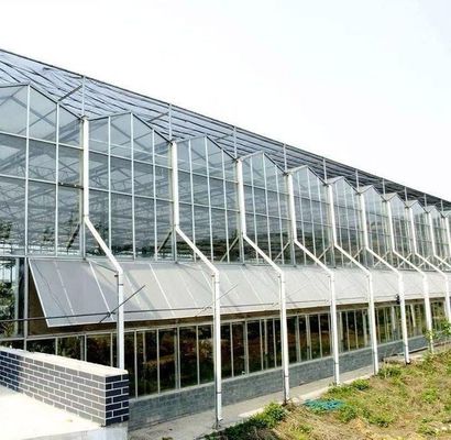 Υδροπονική μέθοδος καλλιέργειας Εμπορική θέρμανση Κήπος γυάλινο θερμοκήπιο για φυτά
