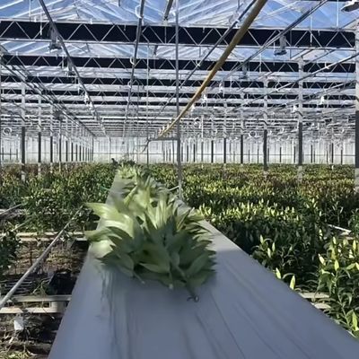Ζυθοκήπιο από γυαλί Ju Xiang με τύπου στέγη Κόστος αποστολής και εκτιμώμενος χρόνος παράδοσης