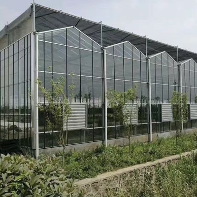 Διπλό στρώμα γυαλιού θερμοκηπίου για λουλούδια 50.00cm * 60.00cm * 80.00cm Μέγεθος συσκευασίας