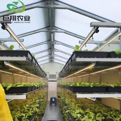 Προσαρμοσμένο θερμοκήπιο JX-Glass 2023 Juxiang γεωργικό εξοπλισμό με σύστημα ψύξης