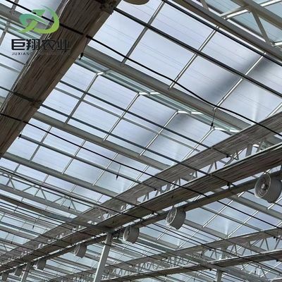 Προσαρμοσμένο θερμοκήπιο JX-Glass 2023 Juxiang γεωργικό εξοπλισμό με σύστημα ψύξης