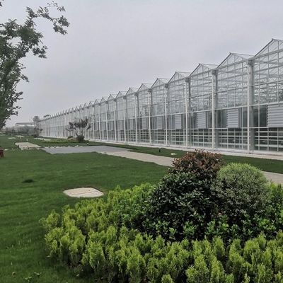 Χάλυβα δομή σταγόνα άρδευση γυάλινο θερμοκήπιο για φυτά στέγη σχήμα τύπου στέγη