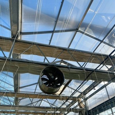 Χάλυβα δομή σταγόνα άρδευση γυάλινο θερμοκήπιο για φυτά στέγη σχήμα τύπου στέγη